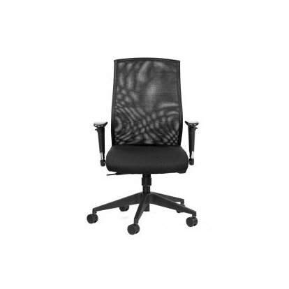 Fauteuil dossier résillé SAM accoudoirs réglables