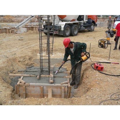 Moteur électrique Dingo 230 V